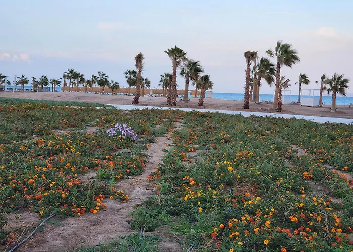 Mangroovy- 1br Sea Breeze Back Sea View